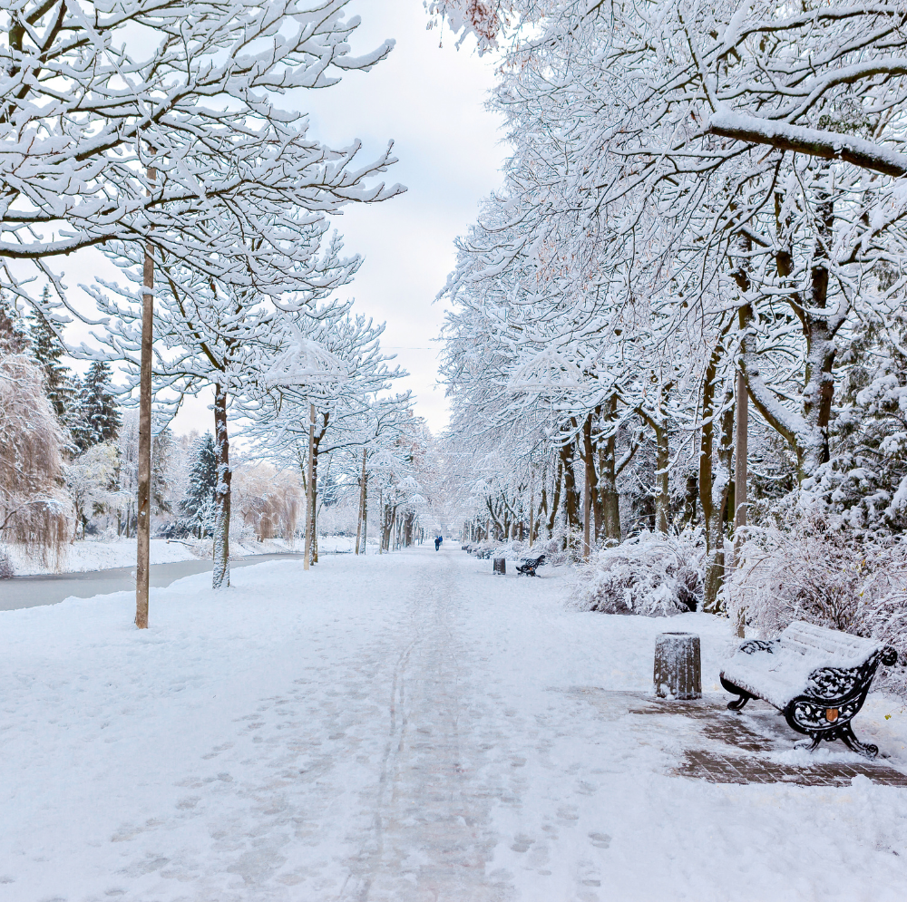 Destinations neige