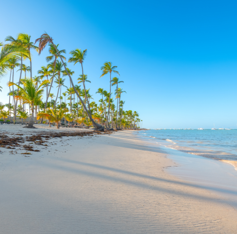 plage magnifique