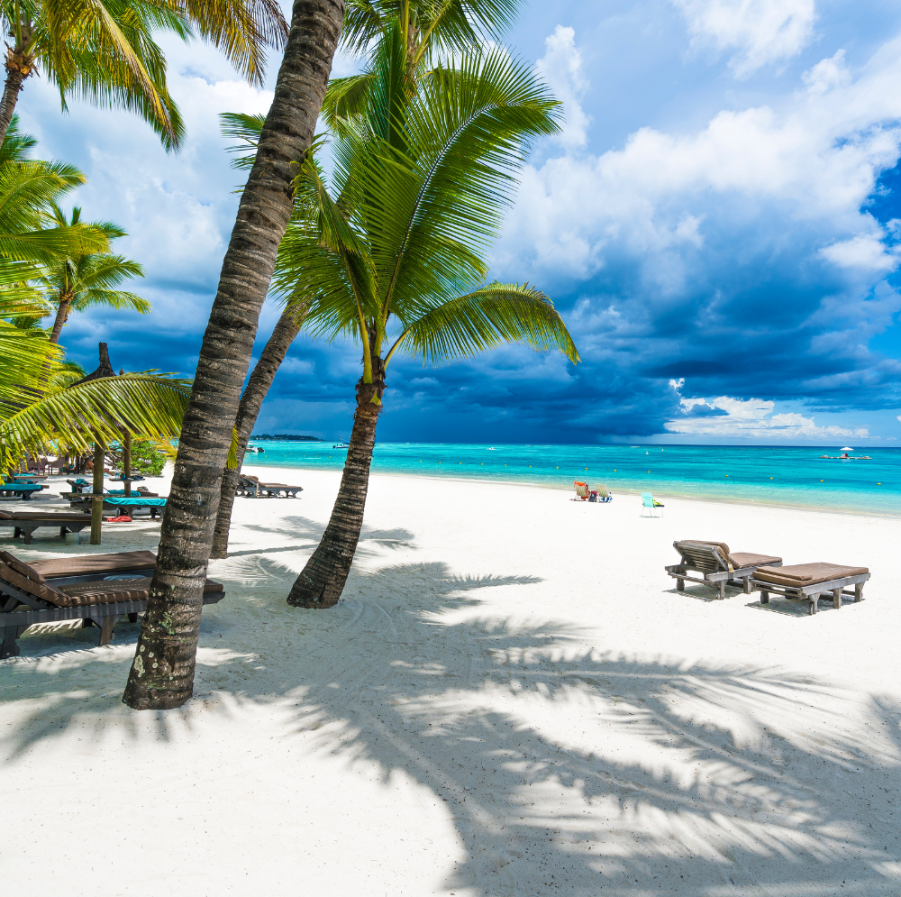 plage sous le soleil